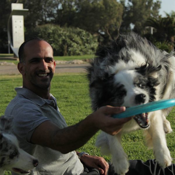 משחק פריסבי בפארק